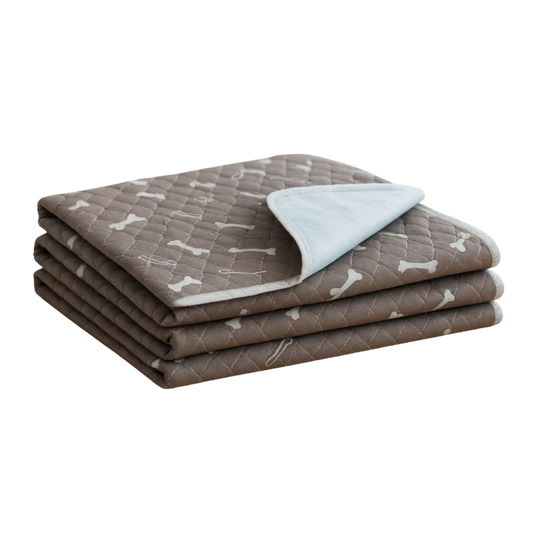 1x PawPerch™ - 50% OFF